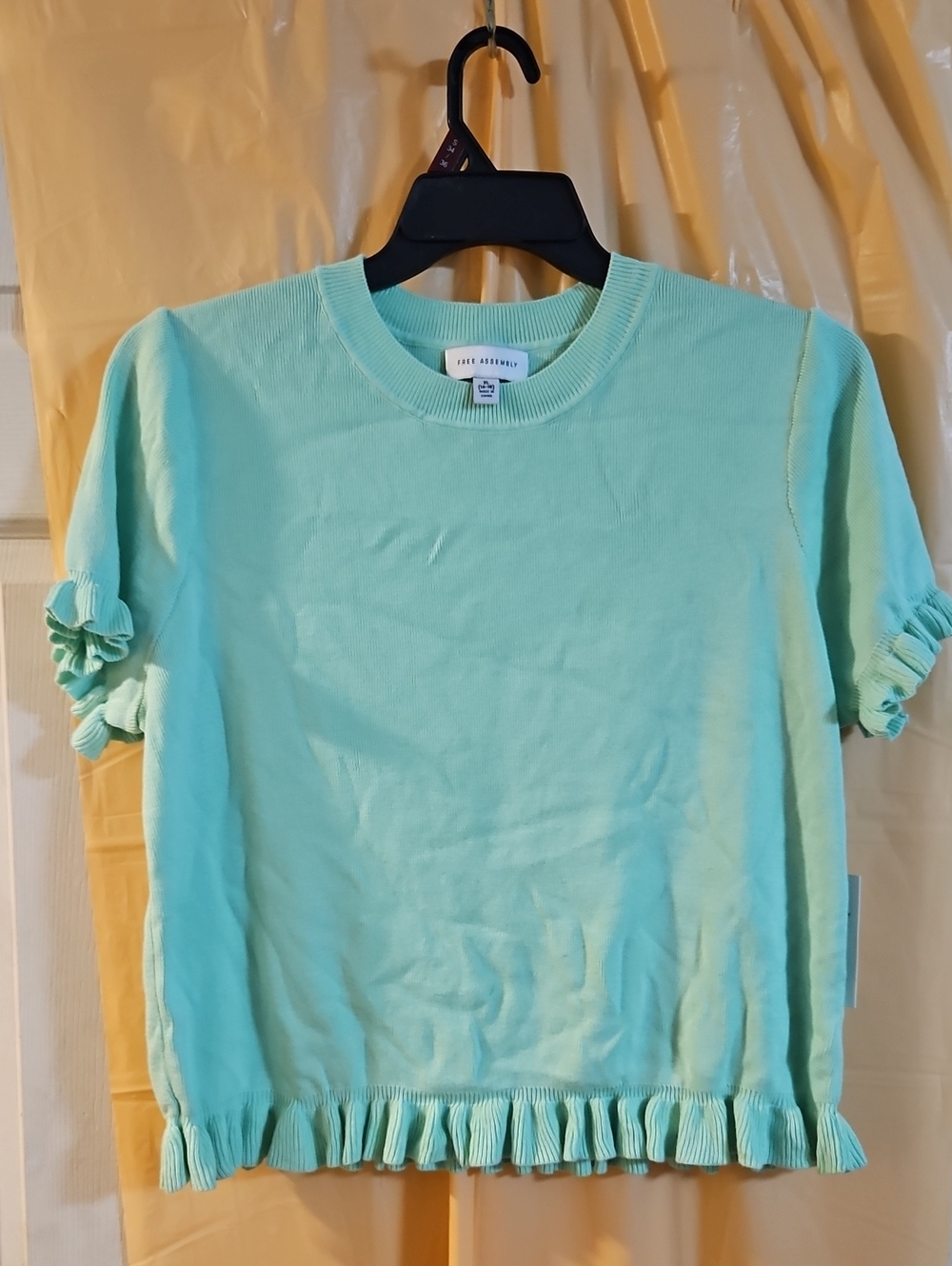 Free Assembly Ruffle Trim Sweater with Short Sleeves:SWEET MINT: NWT: XL (16-18)